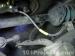 thm_DSC07369.jpg