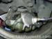 thm_DSC07376.jpg