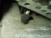 thm_DSC07312.jpg