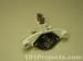 thm_DSC04445.jpg