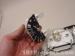 thm_DSC05681.jpg